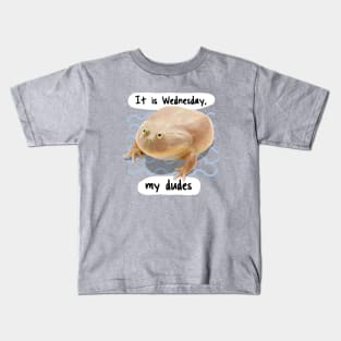 It is Wednesday my Dudes V4 Kids T-Shirt